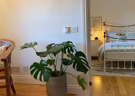 ベッド・アンド・ブレックファスト Birch House